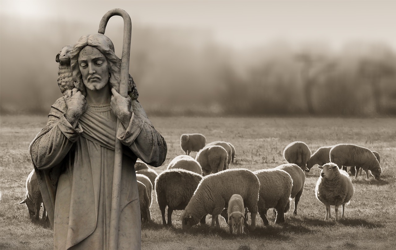 From Ancient Pastures to Modern Tables: The Rich History of Goat Milk and Cheese