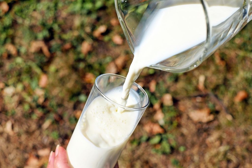 Glass of fresh goat milk on a rustic table